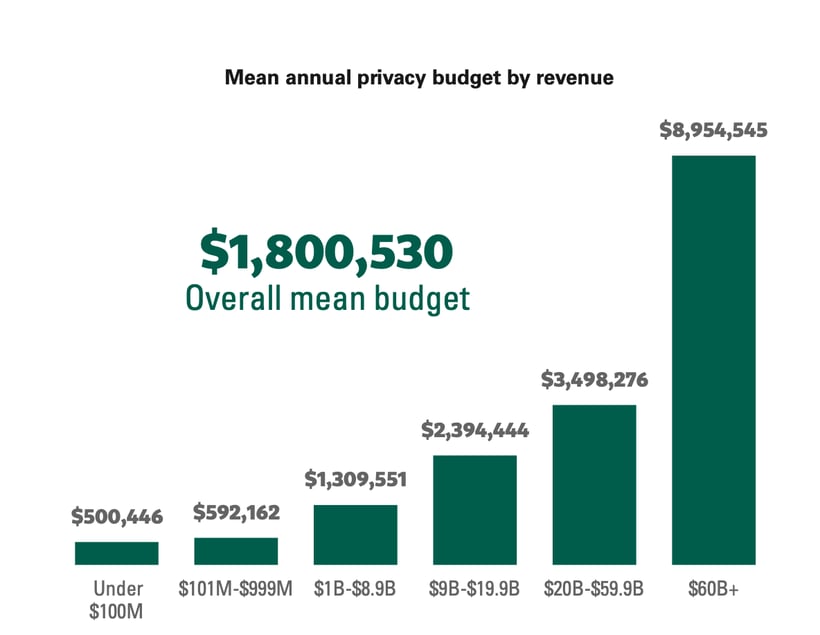 mean annual privacy budget by company revenue